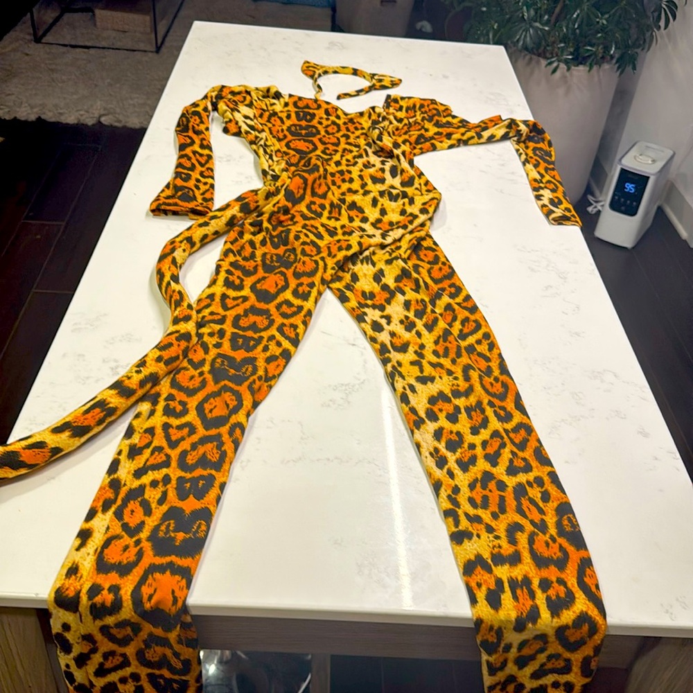 Cheetah Halloween costume